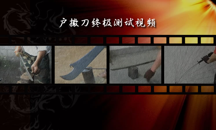 ��վ������������Ƶ��չ