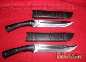 ������(����������ľ���Ե�