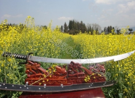 ��������(���������Ʒ������䵶�����Ƿ���