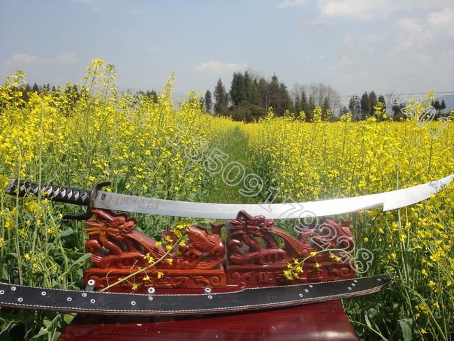 ��������(���������Ʒ������䵶�����Ƿ���