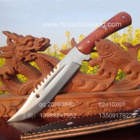 ��������(����������ƷС�Ե���ȫ���ǣ�