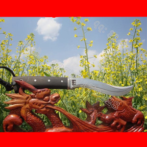 ��������������������Ʒ������С�䵶�����Ƿ���