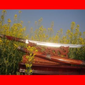 ������������֮����֦���������Ƿ���