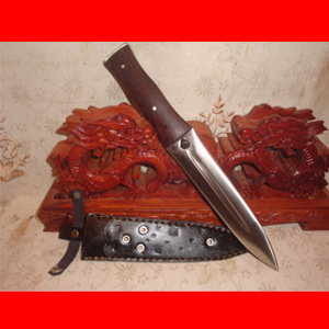 �ߵ����ڸ�˫�з���ذ��