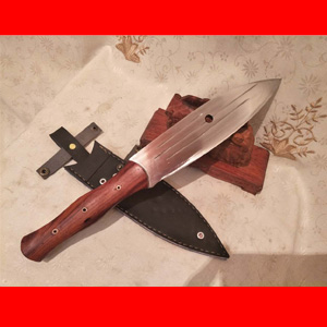 ����������������ͺӥ Condor ���浶������Ƶ��