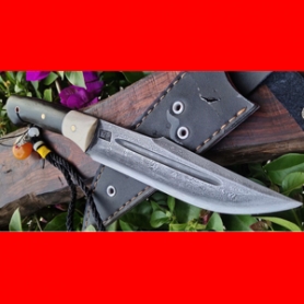 �����������������Ƹ�¹��ȫ�����Ե�