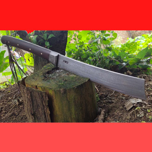 �������������ղذ������үү��