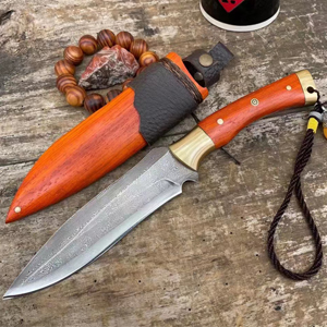 ��������������������Ʒ�������Ե������裩