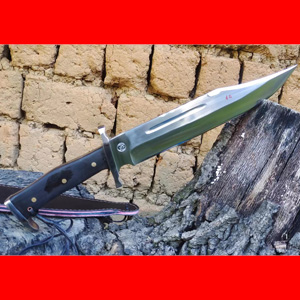 ������������������һ��ȫ�����������⵶