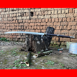 ������������������������ԭ�Ŵ�����ն����