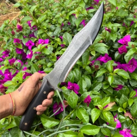 ����������������������ʿ��Ťת������