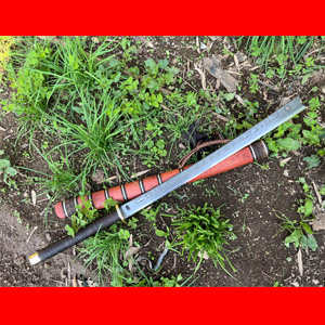 ����������һ�����Ǹ߶�ƽͷ�������Ƿ��ƣ�